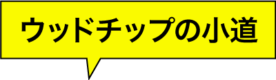 ウッドチップの小道