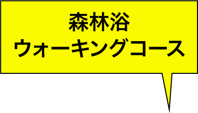 森林浴ウォーキングコース