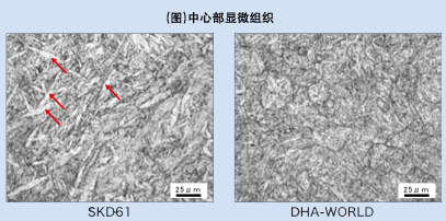 中心部 显微组织