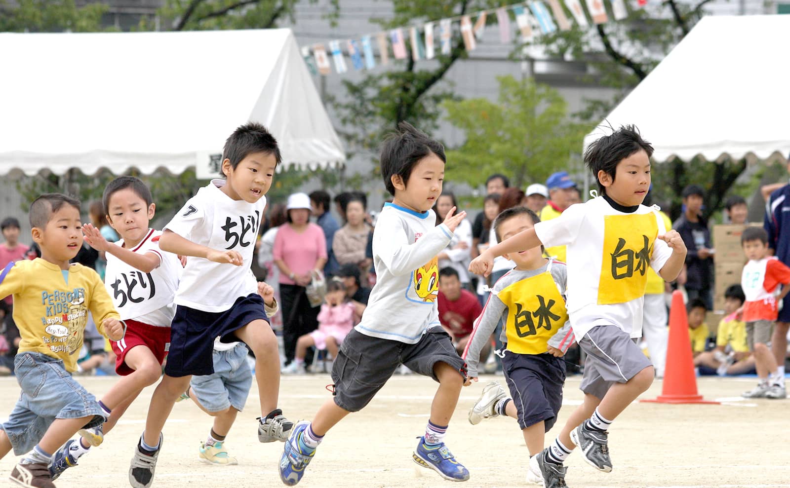 Hoshizaki Plant - Autumn Festival