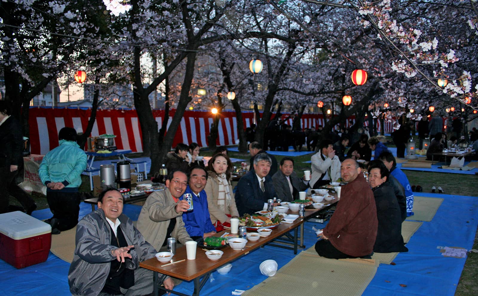 Hoshizaki Plant - Cherry Blossam Viewing
