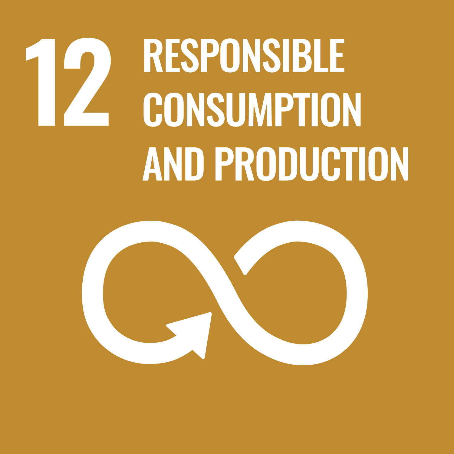 12.Ensure sustainable consumption and production patterns