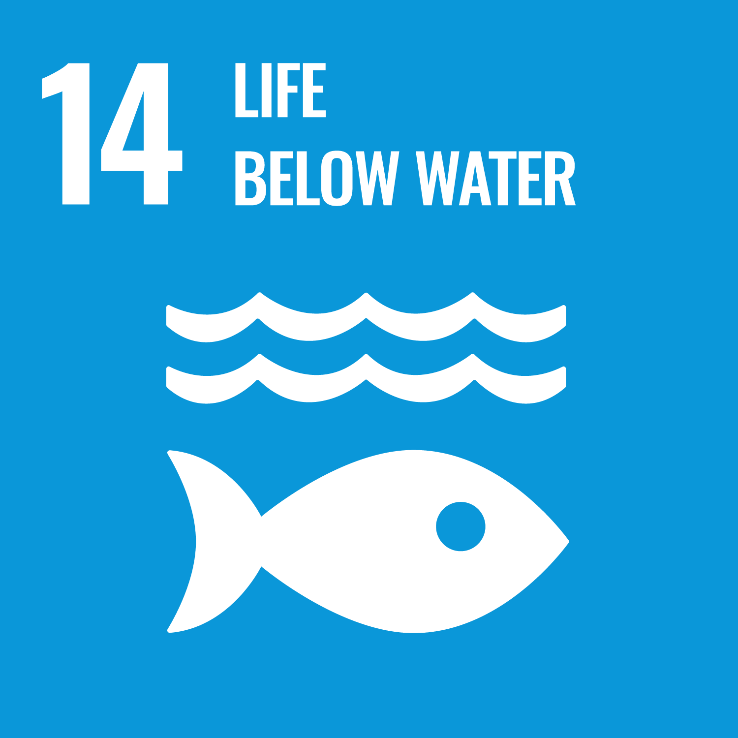 14.Conserve and sustainably use the oceans, seas and marine resources for sustainable development