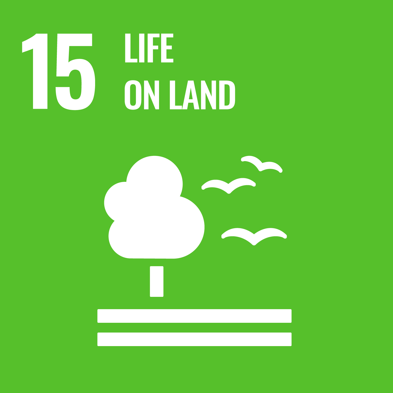 15.Protect, restore and promote sustainable use of terrestrial ecosystems, sustainably manage forests, combat desertification, and halt and reverse land degradation and halt biodiversity loss