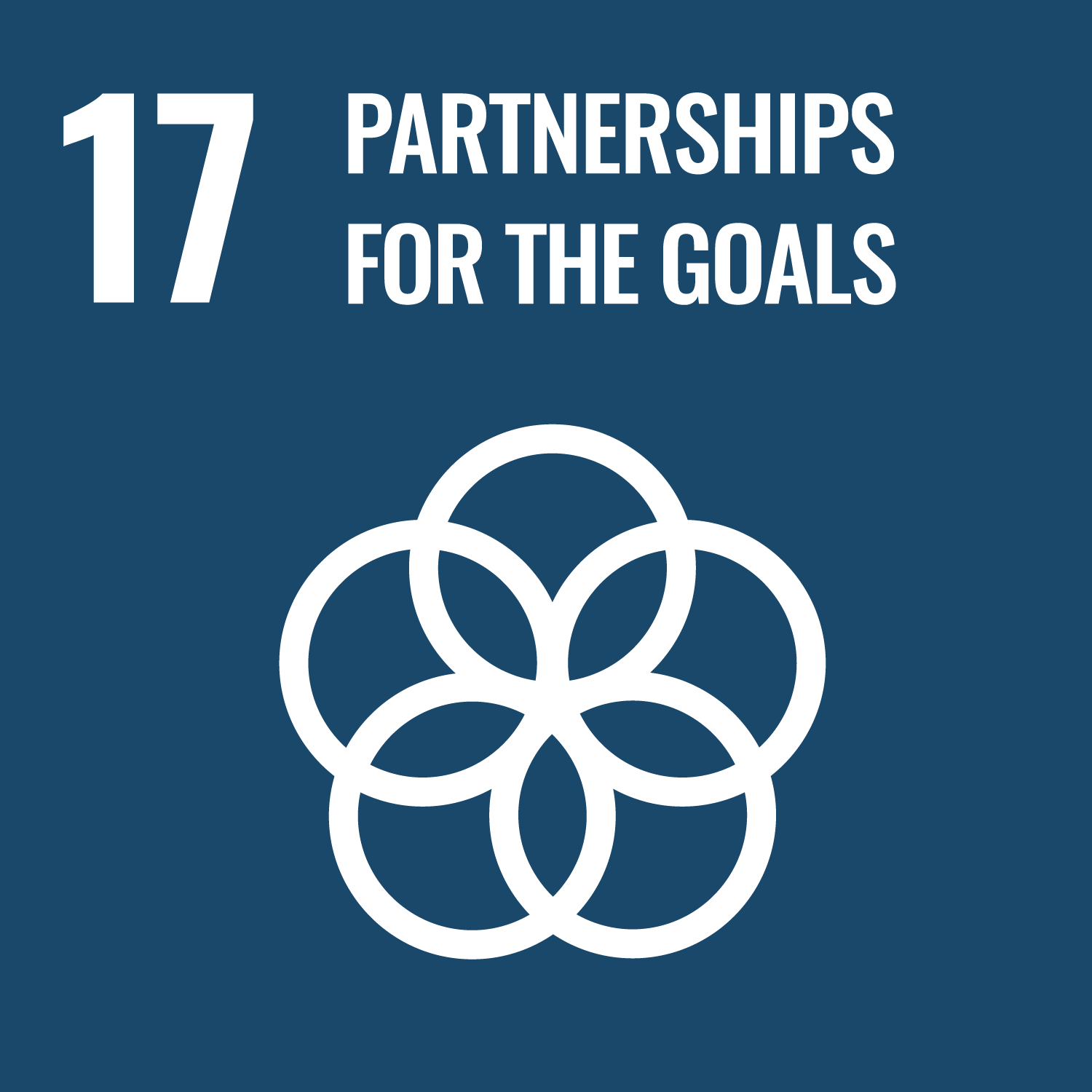 17.Strengthen the means of implementation and revitalize the Global Partnership for Sustainable Development