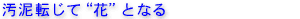 ���D�]����&rdquo;��&rdquo;�ƂȂ�