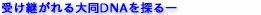 󂯌p哯cm`T\