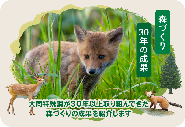 森づくり 30年の成果