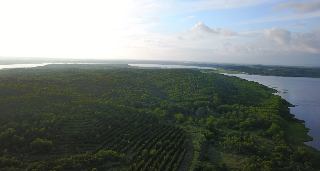 緑化・生物多様性への取り組みメイン背景