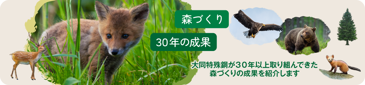 森づくり 30年の成果