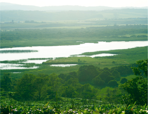 hokkaido-image01
