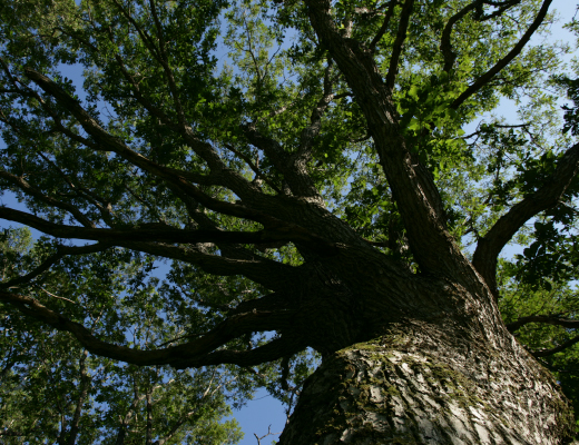 hokkaido-image01