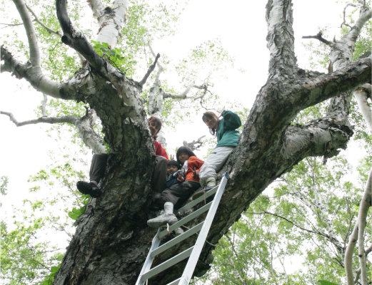 hokkaido-image01