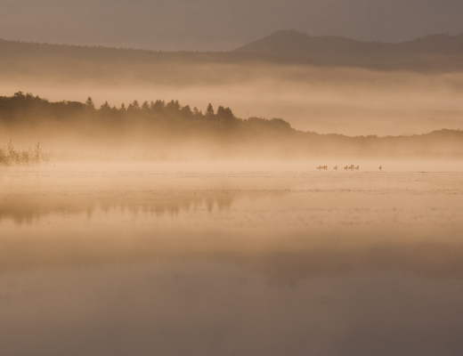 hokkaido-image01