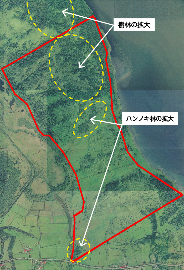 空撮写真に樹林の拡大地域とハンノキ林の拡大地域がそれぞれ丸で囲われ指示されている