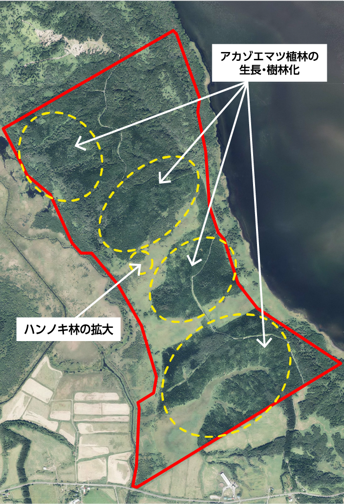 空撮写真にアカエゾマツ植林の生長・樹林か地域とハンノキ林の拡大地域がそれぞれ丸で囲われ指示されている