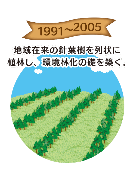 1991~2005年：地域在来の針葉樹を列状に植林し、環境林化の礎を築く。