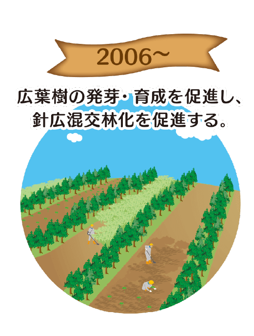 2006~：広葉樹の発芽・育成を促進し、針広混交林化を促進する。