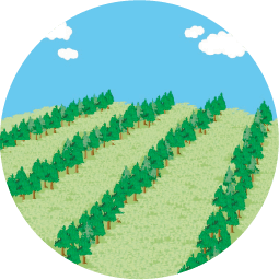 土地に木が生長し、整列しているイラスト