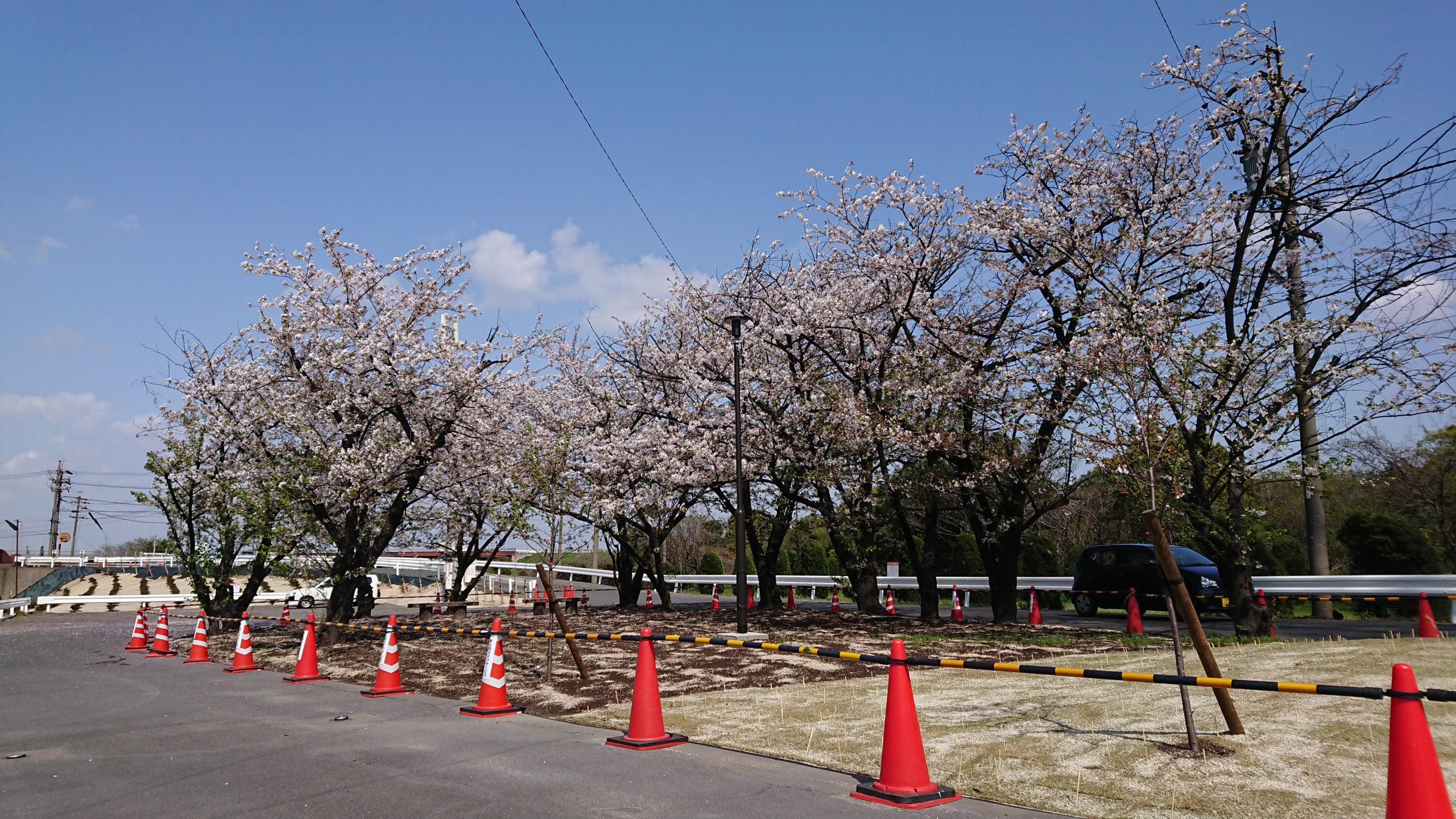 はなもも公園