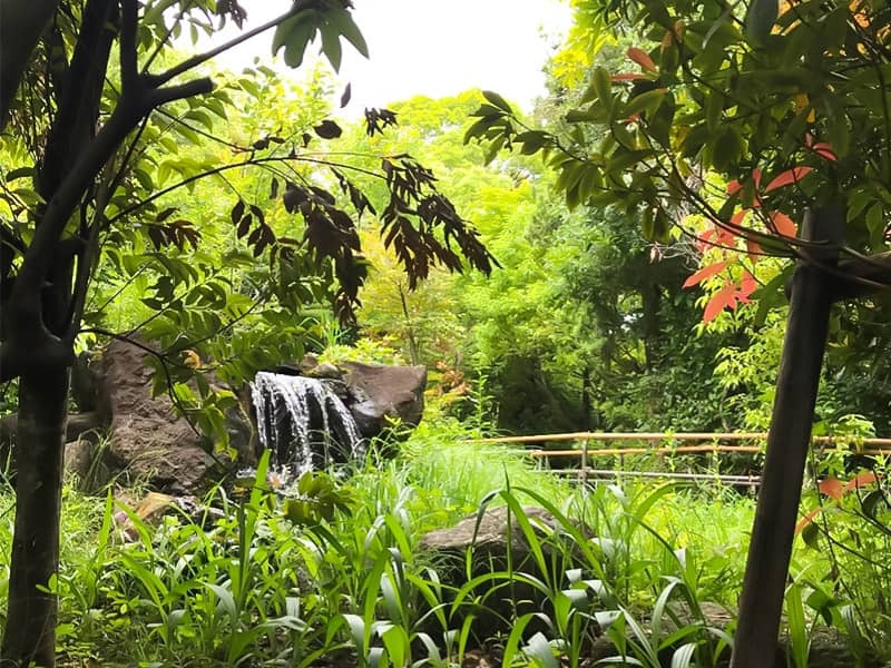 ほたる園