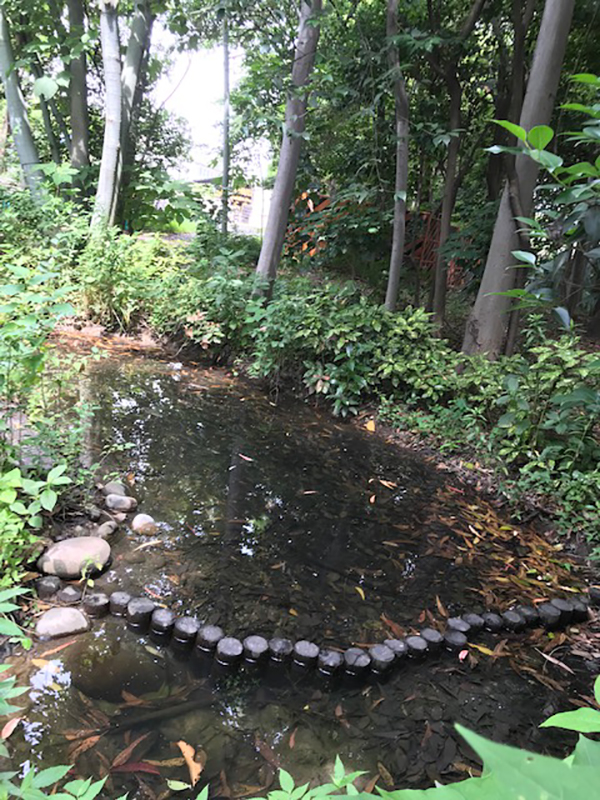知多工場 東ビオトープ