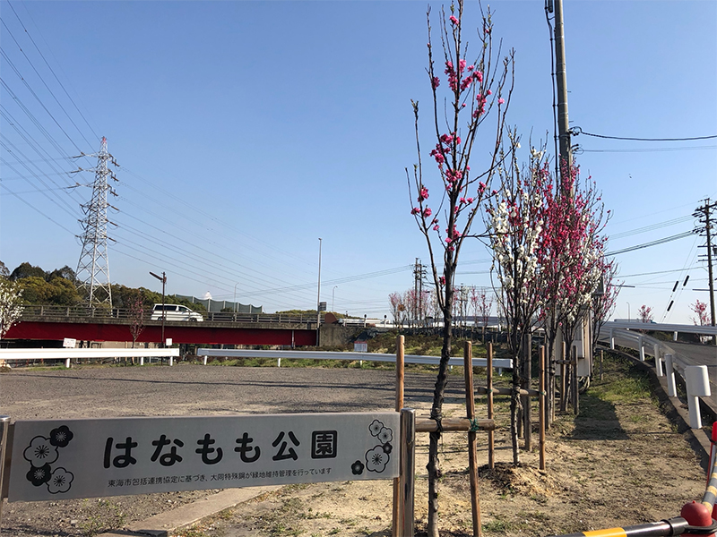 はなもも公園 3年目の春